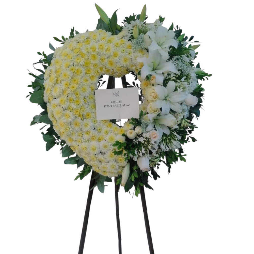 2026/03/1002017394.png