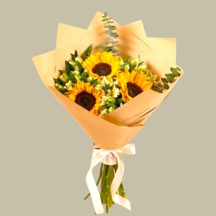 Girasoles - primavera